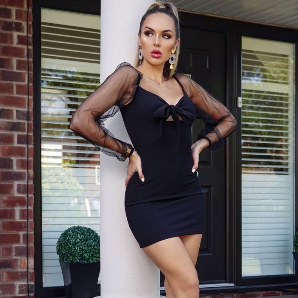 Black Long Sheer Sleeve V-Neck Bodycon Mini Dress - Picture 5 of 7